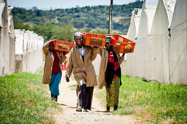 Women carry produce, Kenya