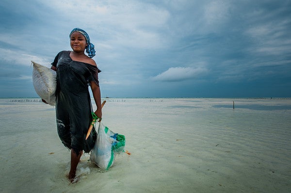 A women carries seaweed on the beach. Photo Credit: Wim Opmeer