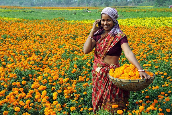 A lady in a flower field takes a call on her mobile phone.