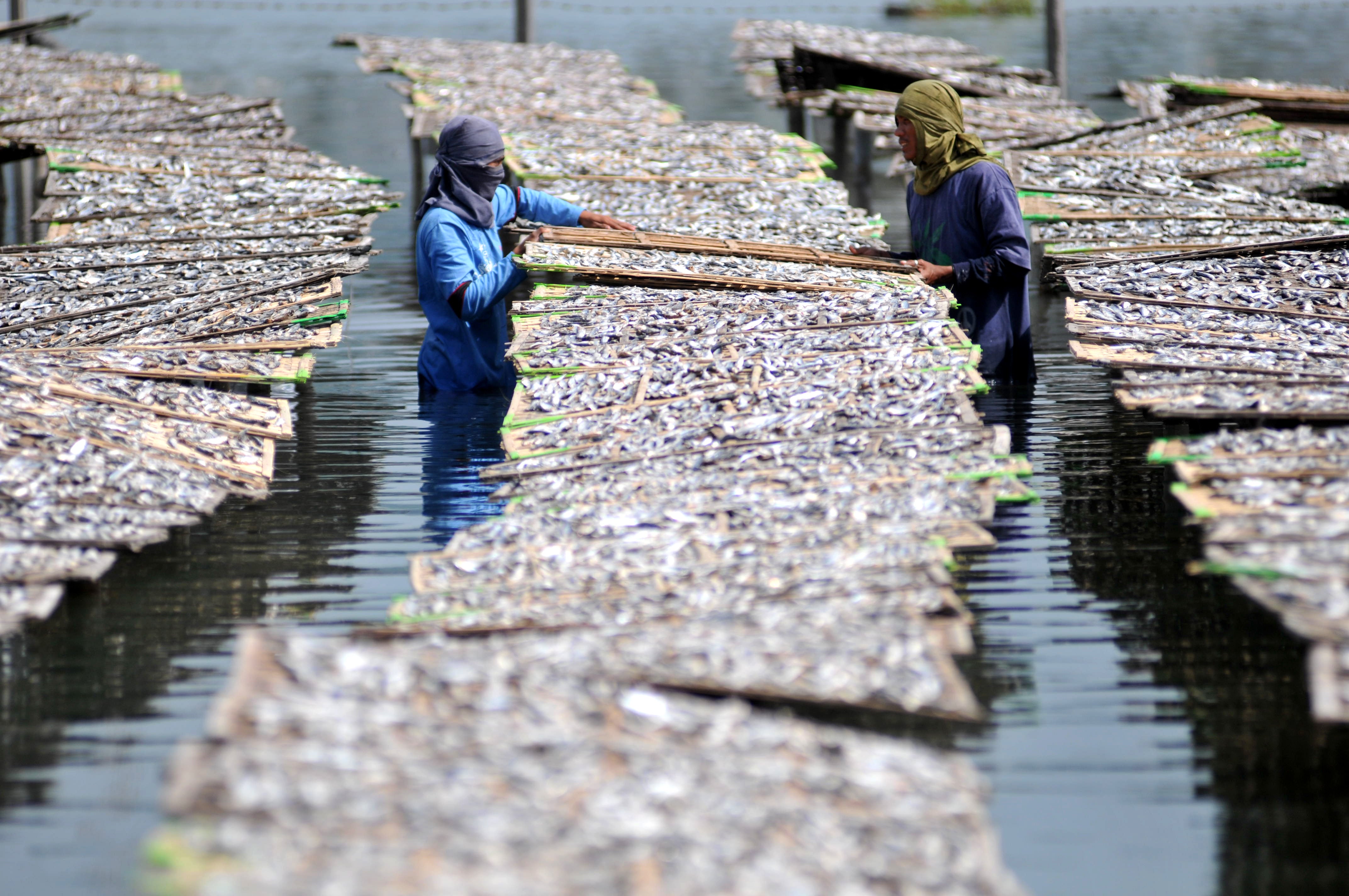 Fishermen processing fish.