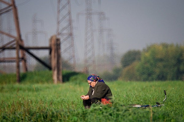 Woman looks at a mobile phone in a field in Belarus