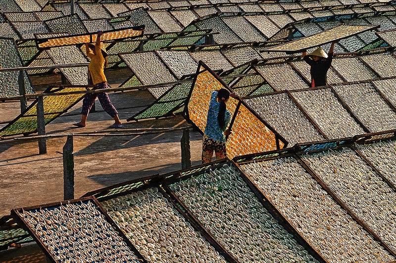 Private enterprise workers from Huynh Khang drying fish for export. Rach Gia City, Kian Giang Province, Vietnam.