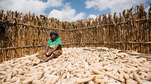 Tanzanian smallholder farmer Jaconda Chengula sits atop her maize harvest.