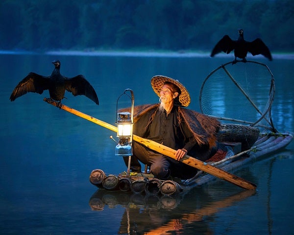 A cormorant fisherman works for tourists' tips.