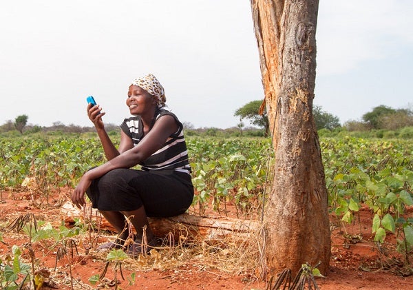 A farmer in Kenya uses her phone to aid her farming ventures.