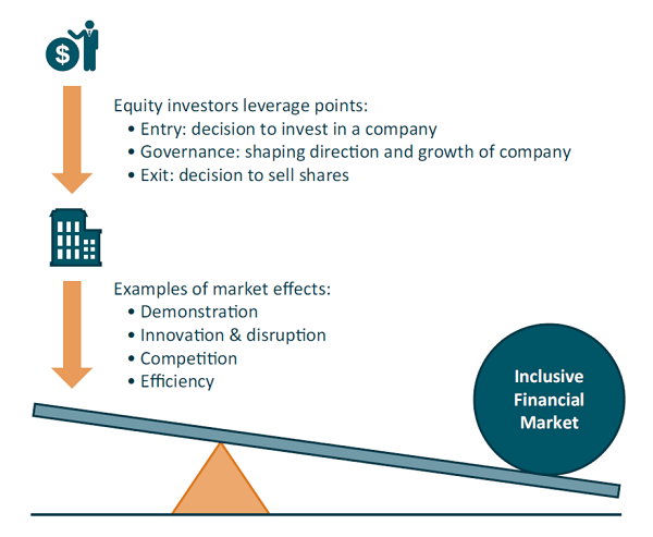 graphic showing how equity investment influences inclusive financial markets
