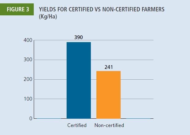 Yields for certified vs non-certified farmers 