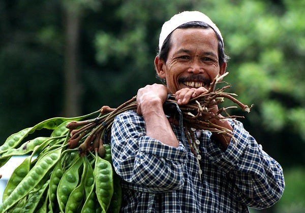 An Indonesian farmer picks his crop and smiles