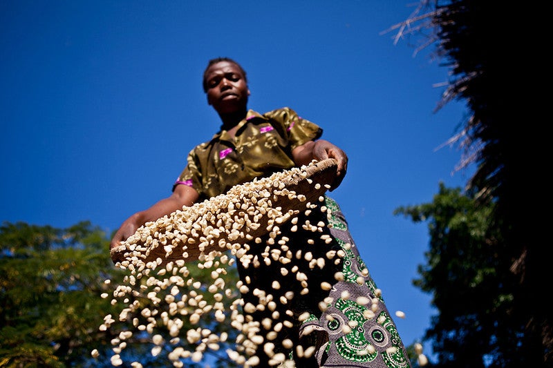 Farming in Malawi