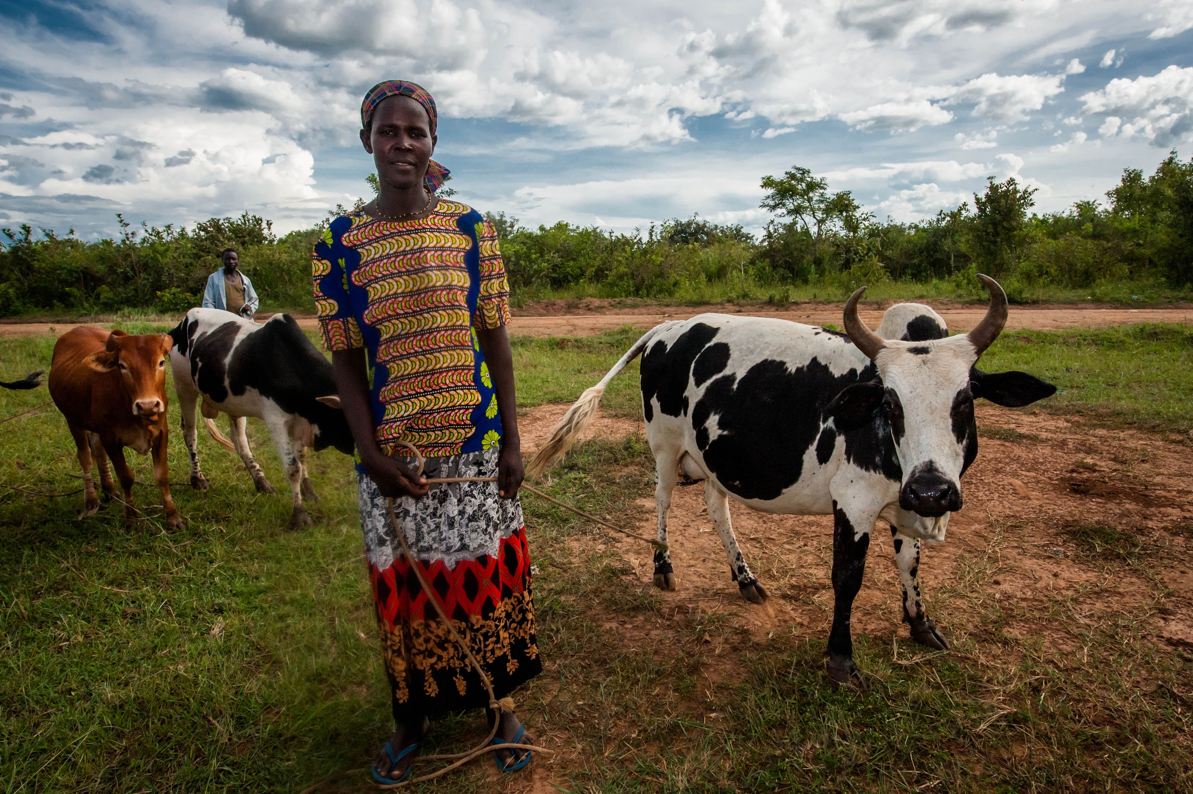 A lady stands in the field with her cattle.