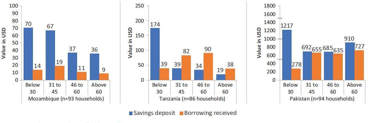 Borrowing and Saving by Age in Mozambique, Tanzania and Pakistan