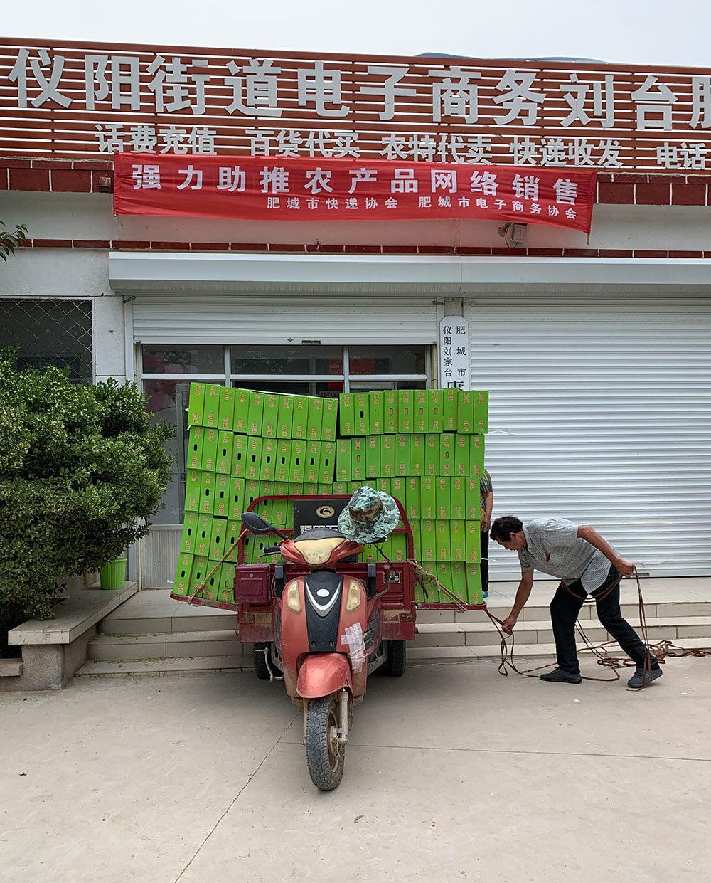 Peaches are picked up from a cooperative in Feicheng to be delivered to customers who purchased them online. Photo: Maria Fernandez Vidal