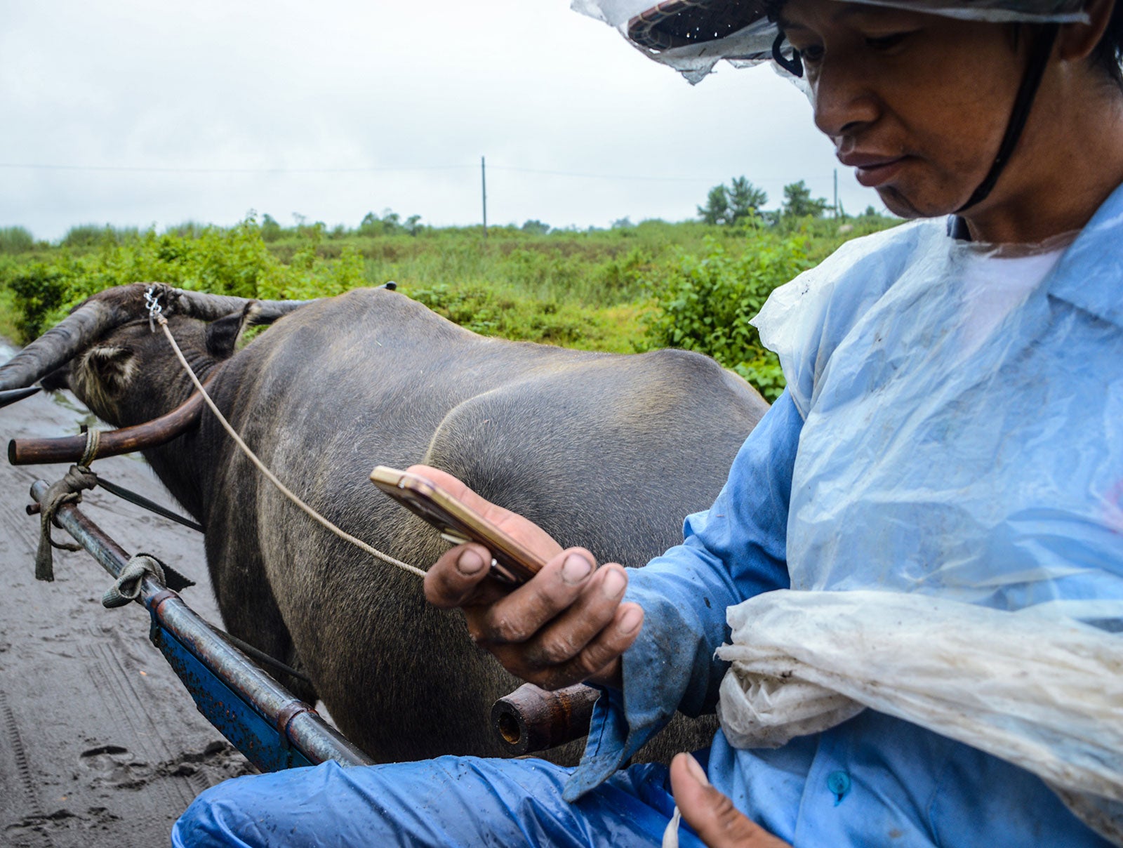 Filipino farmer uses his mobile phone. Photo: Lloyd Ericson Rodriguez, 2016 CGAP Photo Contest