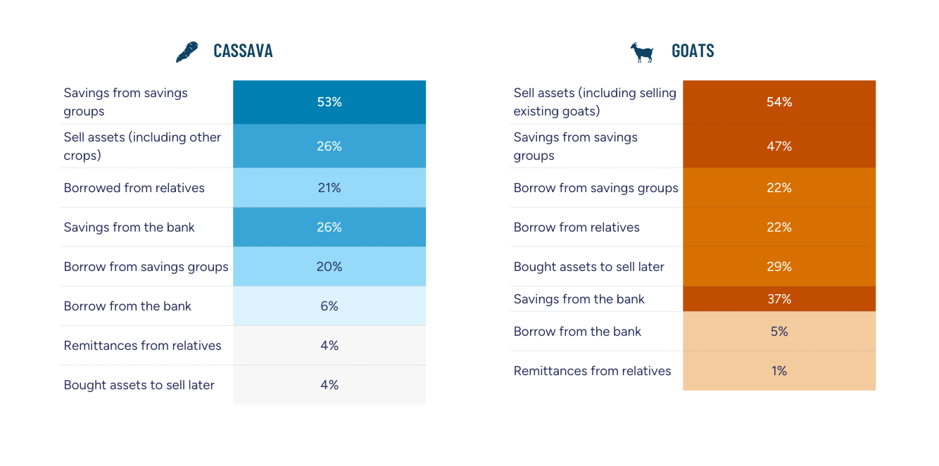 Financial tools used to fund coping strategies for cassava and goats 