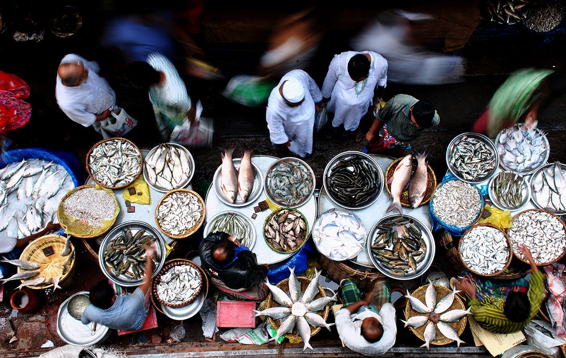 Fish merchants. Photo: Mahabub Hossain Khan, 2016 CGAP Photo Contest