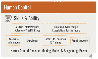 Human capital pathway to impact