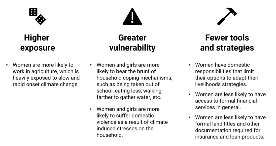 Figure 1: women face higher exposure, greater vulnerability, and fewer tools and strategies to cope with the climate-related risks faced