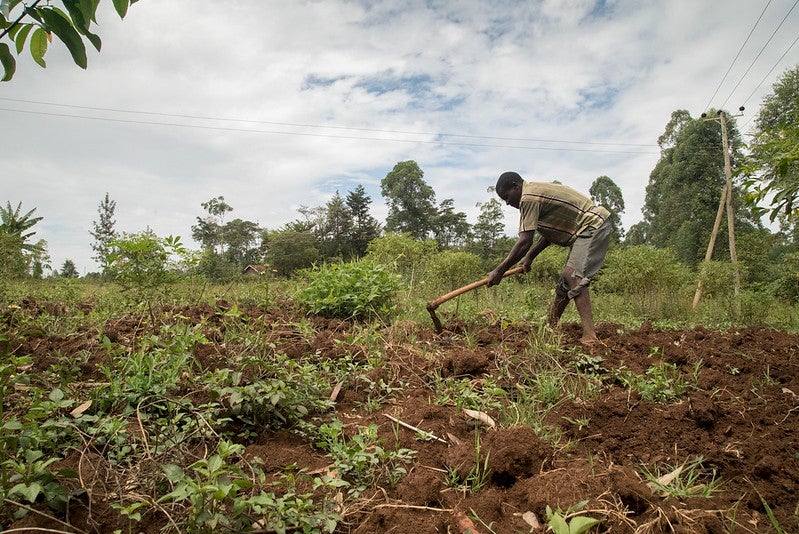 A smallholder tills his land near Kisumu, Kenya.