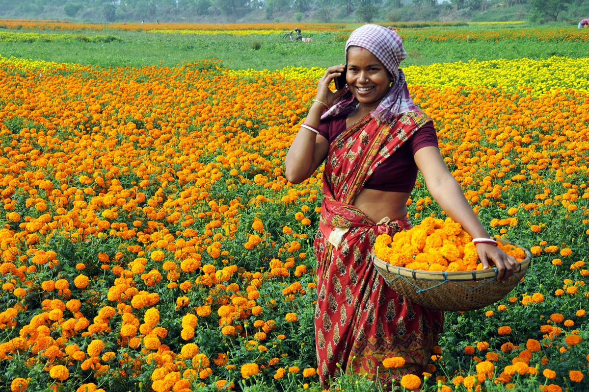 A farmer uses her mobile phone in rural India. 