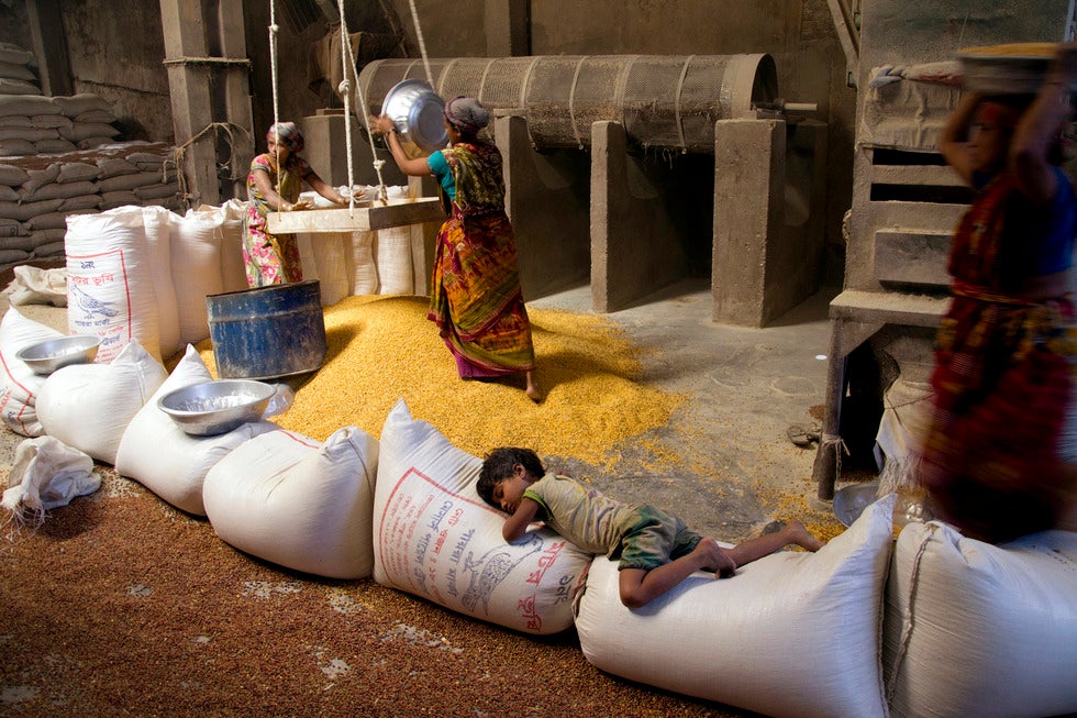 Women working at a vetch processing factory in Bangladesh.