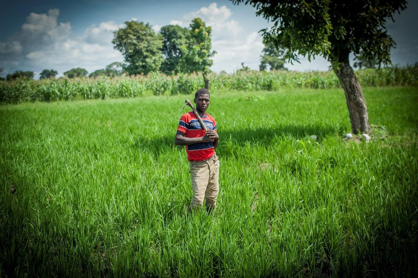 A young farmer in his field in Nigeria. Photo: Skoll Foundation