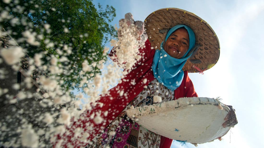 A woman works as laborers sago farmers. Photo taken by Iman Firmansyah.