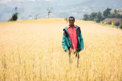 Juvenal's Wheat Field (Burundi) by Hailey Tucker
