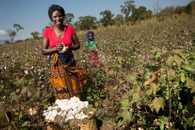 A woman works in the field