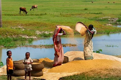 Women process rice, Bangladesh