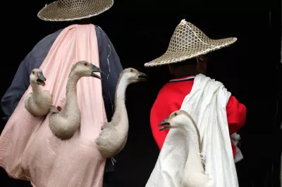 A father and son go to the market to sell geese.