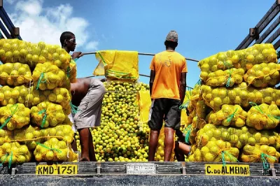 Men load oranges onto a truck