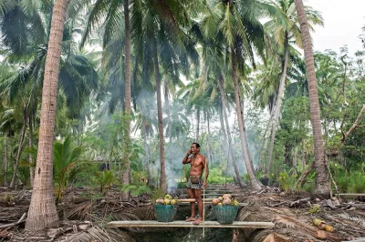 Man uses mobile phone amid coconut trees Photo Credit: Eakarin Ekartchariyawong, 2016 CGAP Photo Contest