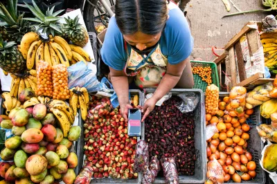 woman using her mobile phone at her outdoor fruit stall 