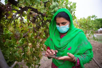 a woman farmer, standing beside grape vines, uses her mobile phone 