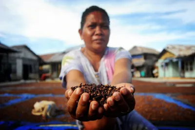a female farmer shows the camera a handful of cloves