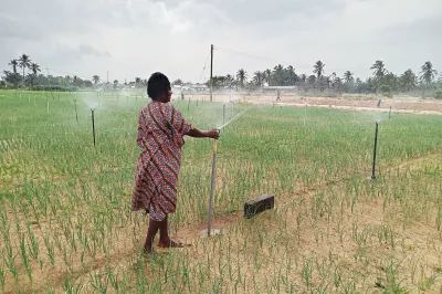 A smallholder uses irrigation on her farm.