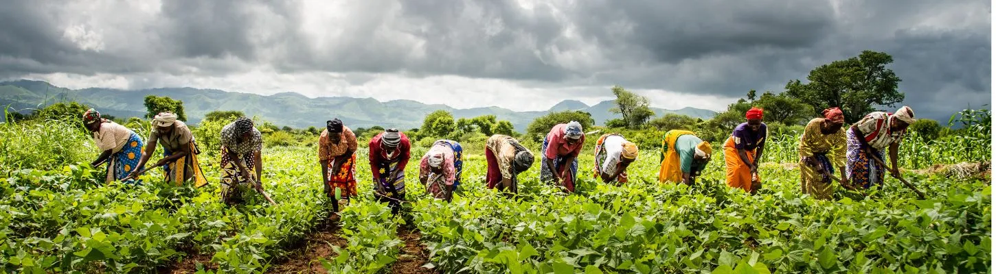 Female rural workers in a field