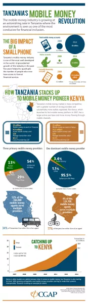 Infographic: Tanzania's Mobile Money Revolution