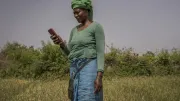 A woman in a field looks at her mobile phone