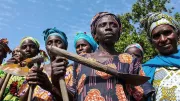 Women farmers, Senegal.