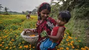 Woman holds child in marigold field, India