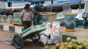 woman selling coconut and have a small restaurant