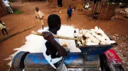 maize grinding