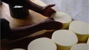 A cheese maker in Peru arranges cheese.