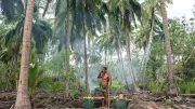 Man uses mobile phone amid coconut trees Photo Credit: Eakarin Ekartchariyawong, 2016 CGAP Photo Contest