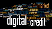 digital credit wordle