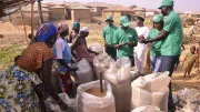 Women gather around their harvested produce to engage with AgroMall field extension agents.