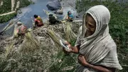 A woman looks at her mobile phone in rural India. Photo: Sujan Sarkar, 2015 CGAP Photo Contest