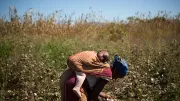 A woman tends her fields with her child on her back in Mozambique.