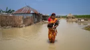Woman in Bangladesh carries goat to safety amid flood
